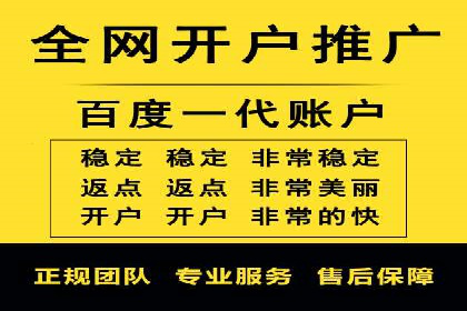 SEM服务公司助力品牌崛起案例